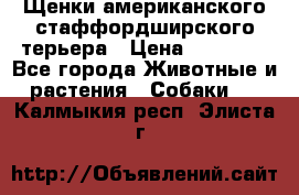Щенки американского стаффордширского терьера › Цена ­ 20 000 - Все города Животные и растения » Собаки   . Калмыкия респ.,Элиста г.